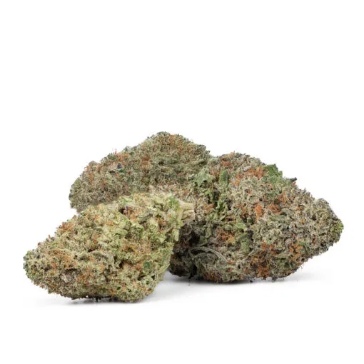 Jack-Herer (1) BUY Jack Herer Strain AU